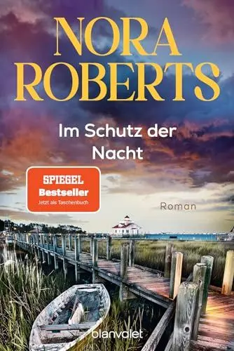 Produktbild: Im Schutz der Nacht: Roman