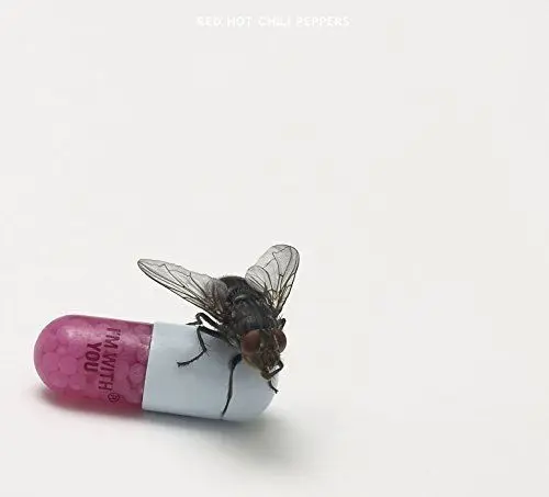 Produktbild: I'm With You