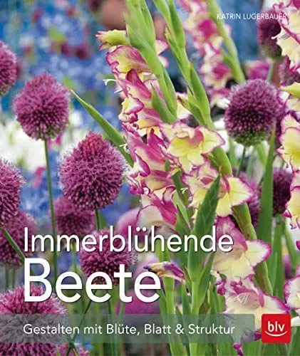 Produktbild: Immerblühende Beete: Vielseitige und ökologisch wertvolle Pflanzkombinationen für jeden Standort