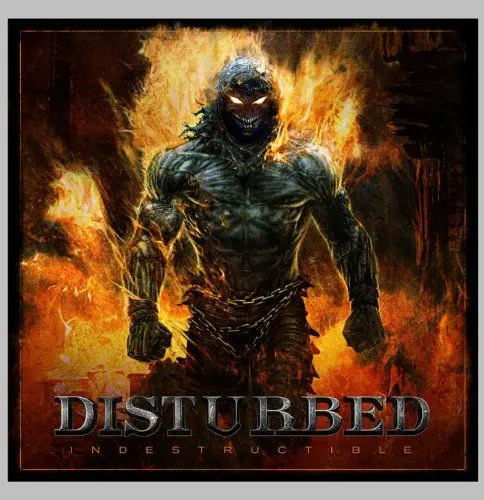 Produktbild: Indestructible