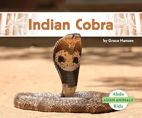 Produktbild: Indian Cobra (Asian Animals)