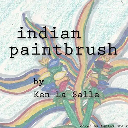 Produktbild: Indian Paintbrush