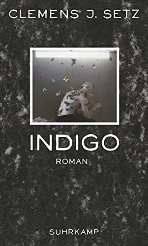 Produktbild: Indigo: Roman