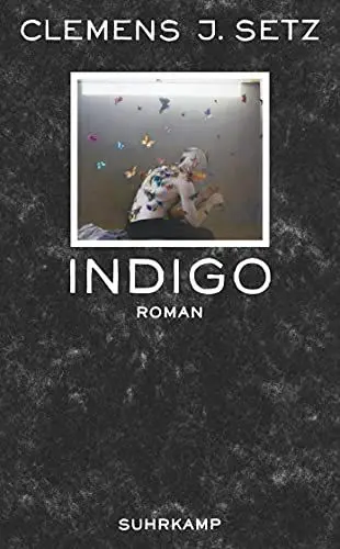 Produktbild: Indigo: Roman (suhrkamp taschenbuch)