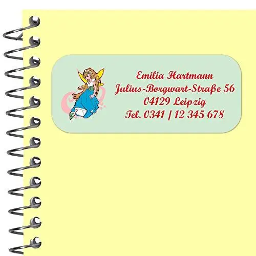 Produktbild: INDIGOS UG Adressaufkleber personalisiert - 56x23 mm - 024 - schöne Fee - 99 Sticker selbstklebend - Namensaufkleber Kinder Schule - Etiketten, Briefe, Gegenstände, Ordner, Umschläge