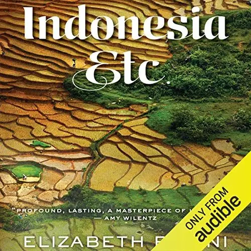 Produktbild: Indonesia, Etc.: Exploring the Improbable Nation