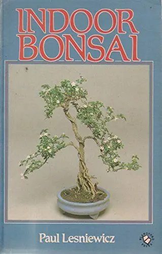 Produktbild: Indoor Bonsai