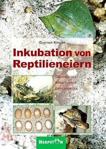 Produktbild: Inkubation von Reptilieneiern. Grundlagen Anleitungen Erfahrungen.: Grundlagen, Anleitung und Erfahrungen