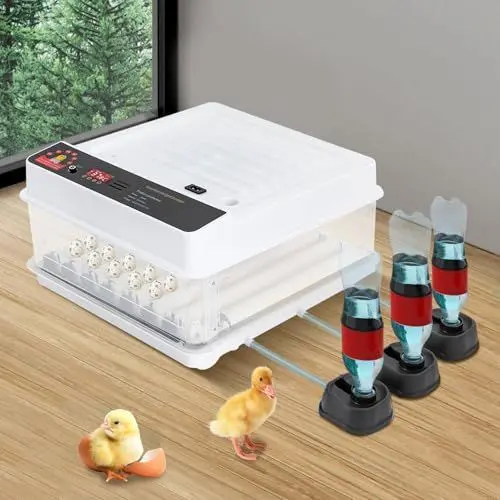Produktbild: Inkubator 38 Eier Vollautomatische Inkubator Brutmaschine Mit Automatisches Umdrehen Eier,Automatische Temperaturregelung,LED Licht,Einstellbaren Abstände (Weiß + Klar)
