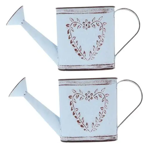Produktbild: INOOMP 2St Antiker Wasserkocher Blumentopf Mini-Töpfe rustikale Milchkanne Blumentöpfe Wasserflaschen Pflanzen Gießkanne für zu Hause eiserne Vase Europäisch und amerikanisch Strauß Creme