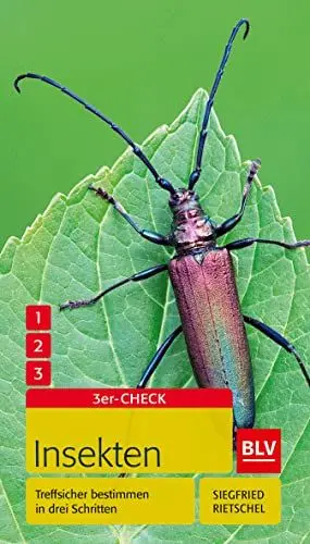 Produktbild: Insekten: Treffsicher bestimmen in drei Schritten (BLV Insekten)