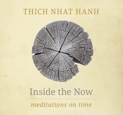 Produktbild: Inside the Now: Meditations on Time