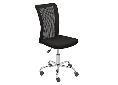 Produktbild: Inter Link - Kinderschreibtischstuhl - Ergonomischer Drehsessel - Höhenverstellbar - Verchromter Metallfuß- Atmungsaktiver Mesh-Gewebebezug - 360° drehbar - Schwarz- Bonnie