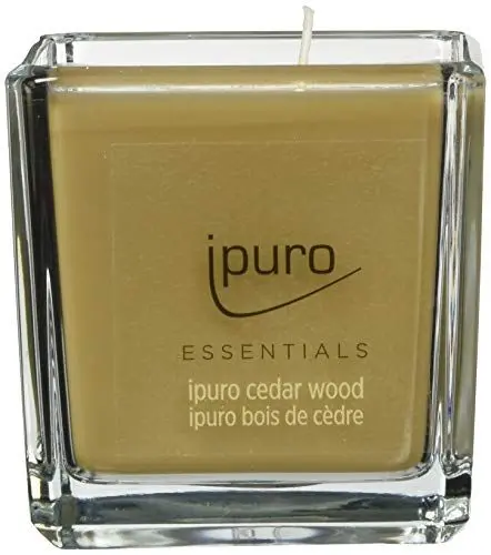 Produktbild: ipuro - dekorative cedar wood - minimalistische & puristische Duftkerzen im Glas - intensive mit holzigen & würzigen Noten - stilvolle Kerze 125 g