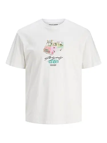 Produktbild: JACK & JONES JORLUSTRE Tee SS Crew Neck TG