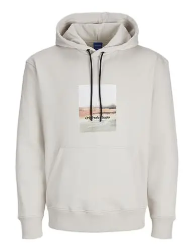 Produktbild: JACK & JONES Herren Kapuzenpullover Gedruckt, Moonbeam,S
