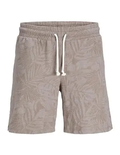 Produktbild: JACK & JONES JPSTKARL JJNAEL Shorts CMT