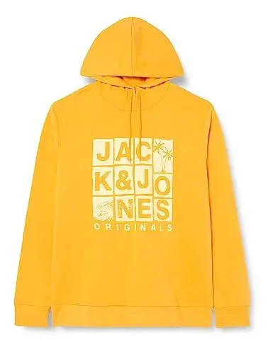 Produktbild: JACK & JONES JORCHANCE Sweat Hood FST