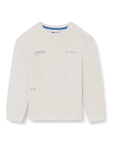 Produktbild: JACK&JONES JUNIOR Jjgreat B2S Sweat Crew Loose Mni