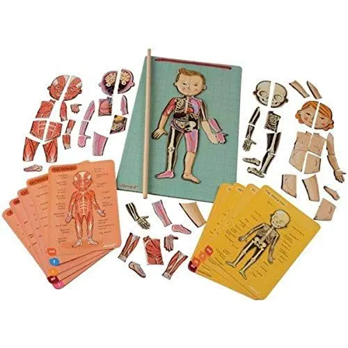 Produktbild: Janod Bodymagnet Educational Human Body Game - Anatomy, Organs, Skeleton, Muscles - 76 Magnetic Pieces - From 7 Years Old, 12 Languages, J05491