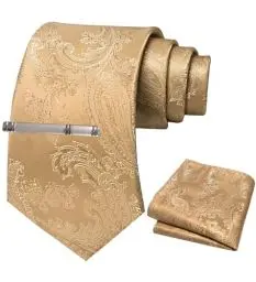 Produktbild: JEMYGINS Herren Paisley Krawatten set mit Krawattenklammer und Einstecktuch,Creme farben