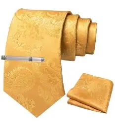 Produktbild: JEMYGINS Herren Paisley Krawatten set mit Krawattenklammer und Einstecktuch,Römischer Feiertags-Mojito mit gelber Mango