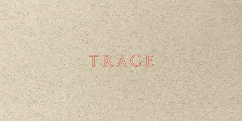 Produktbild: Jenny Holzer: Trace