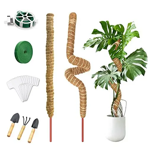 Produktbild: Jesdavan Moosstab, 2 Stück Monstera Rankhilfe, 62cm Rankhilfe Monstera, Moosstab für Monstera, Kokosstab für Pflanzen, mit Zubehör, Moss Pole Geeignet zur Unterstützung des Pflanzenwachstums(Biegbar)