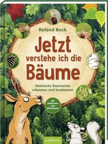 Produktbild: Jetzt verstehe ich die Bäume: Heimische Baumarten erkennen und bestimmen – mit Infokarten zum Mitnehmen | Kindersachbuch zu den 14 wichtigsten Laub- und Nadelbäumen ab 6 Jahren