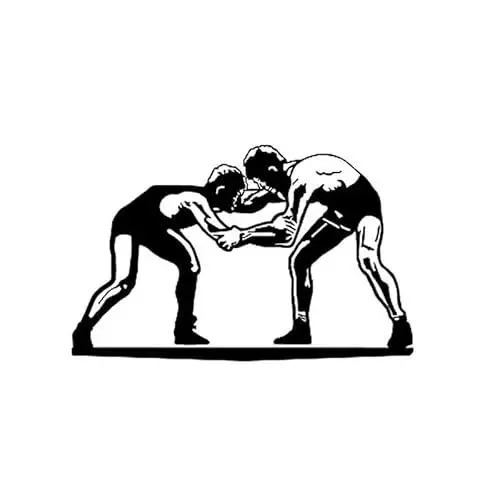 Produktbild: JIFENLI Autoaufkleber 16,1 * 10,2 CM Mode Wrestling Sport Dekor Auto Styling Aufkleber Vinyl Grafik Zubehör Aufkleber