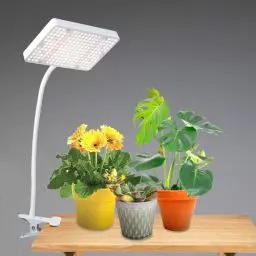 Produktbild: JINHONGTO Pflanzenlampe, Clip On Pflanzenlampe LED Vollspektrum, Biegsamer Schwanenhals und Daisy Chain Funktion, Weiß Grow Lampe, Pflanzenlicht LED Vollspektrum, Pflanzenlampe für Zimmerpflanzen