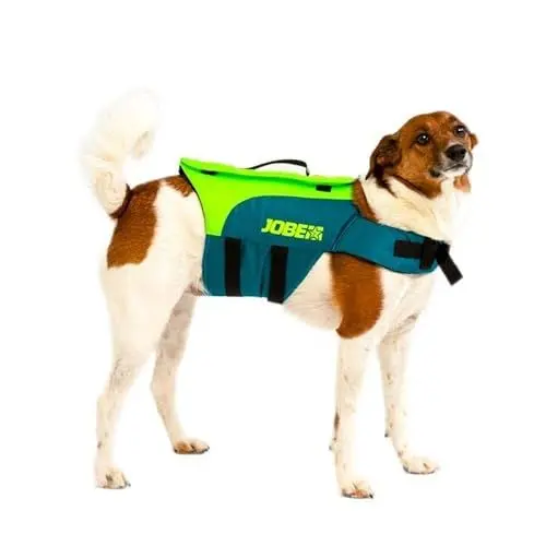 Produktbild: Jobe Pet Schwimmweste Nylon-Tierweste Weste Vest Boot Jetski teal Gr. L j23