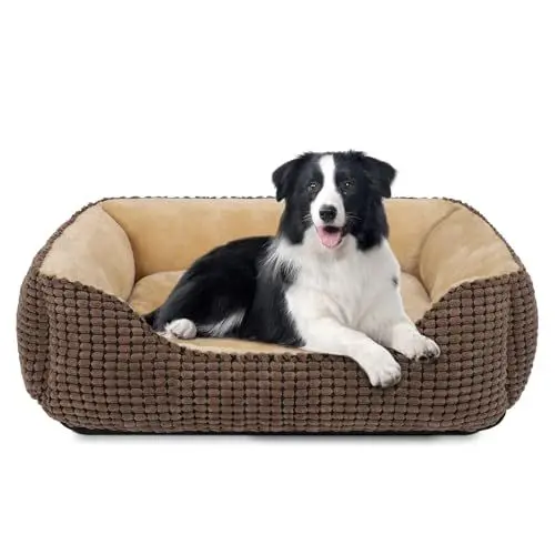 Produktbild: JOEJOY Hundebett Mittelgroße Hunde, Hundekorb Waschbar Flauschig, Plüsch rutschfeste Hundebetten, 76x61x23cm, Hundekörbchen für Mittelgroße und Große Katzen und Hunde