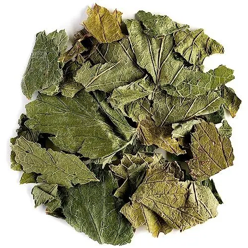 Produktbild: Johannis Beere Blätter Tee Bio – Vorzüglich Zu Desserts – Johannisbeerblätter Ribes Nigrum – Johannisbeere Blätter - Himbeere Blätter 50g