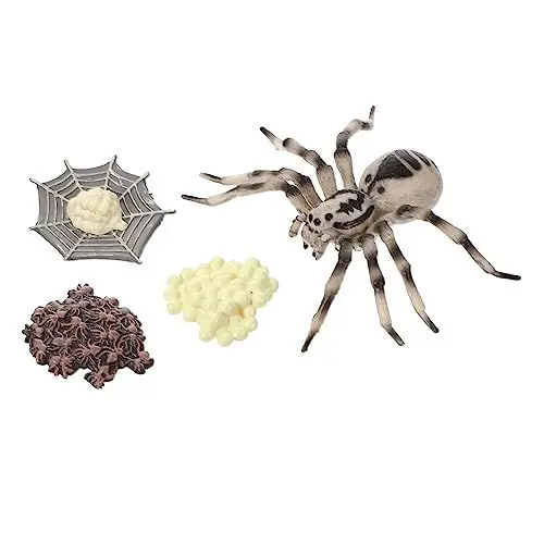 Produktbild: JOINPAYA 1 Satz Kognitives Modell des Lebens Spielzeug Tarantel-Ornament Simulation Tarantula-Modell Lebenszyklusmodell Der Vogelspinne Ausstellungsmodell Evolutionsmodell Plastik