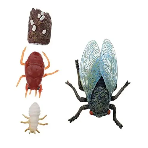 Produktbild: JOINPAYA 1 Wachstumszyklus Der Zikade Simulations-zikaden-Ornamente Pädagogisches Schulprojekt Zikade Spielzeugmodell Simulation Zikade Modell Mini-Spielzeug Zikaden-Display-Modelle Plastik