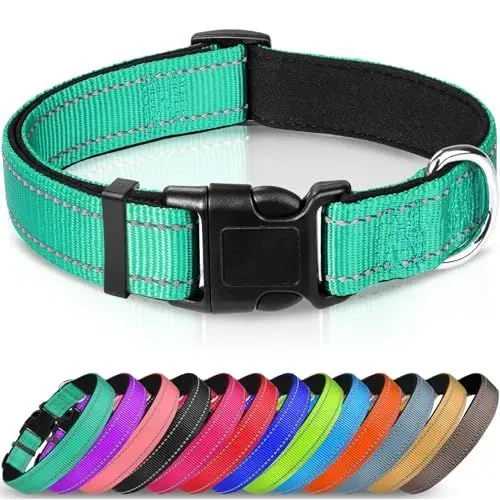 Produktbild: Joytale Halsband Hund, Gepolstertes Hundehalsband Breit aus Neopren Nylon Hundehalsband Verstellbar für Welpen, Weich und Reflektierend Hundehalsbänder, XS, Türkis
