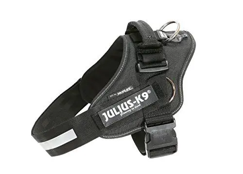 Produktbild: Julius-K9, IDC Powergeschirr mit Seitenringen, Größe: M/0, schwarz