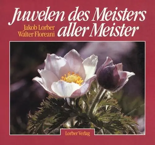 Produktbild: Juwelen des Meisters aller Meister, Bd.1