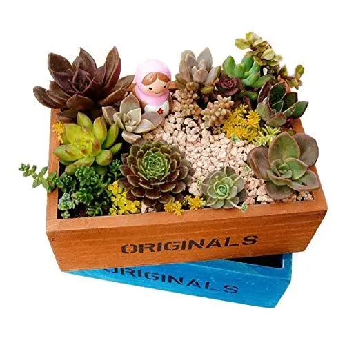 Produktbild: Jwthee Holz-Pflanzkasten, rechteckiger Blumentopf, Holz-Sukkulenten-Pflanzgefäß, Pflanzkasten, rustikaler Innenbereich, dekorative Box, Aufbewahrungsbox