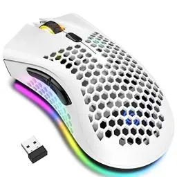Produktbild: Kabellose Gaming Maus, Computermaus mit Wabenschale, 7 programmierte Tasten, 3 einstellbare DPI, USB-Empfänger, tragbare, ergonomische optische RGB- für Laptop PC/Mac, schwarz (White)