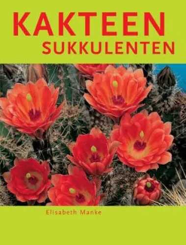 Produktbild: Kakteen Sukkulenten