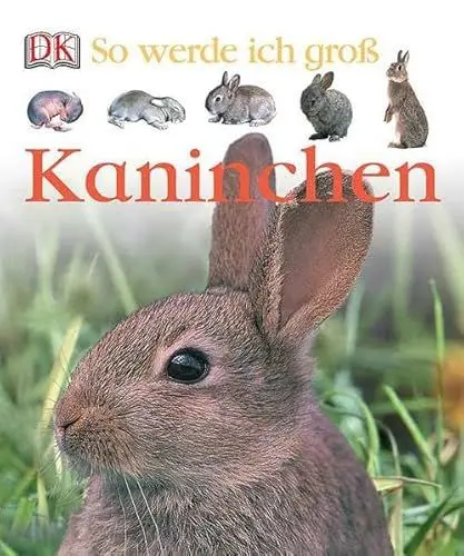 Produktbild: Kaninchen