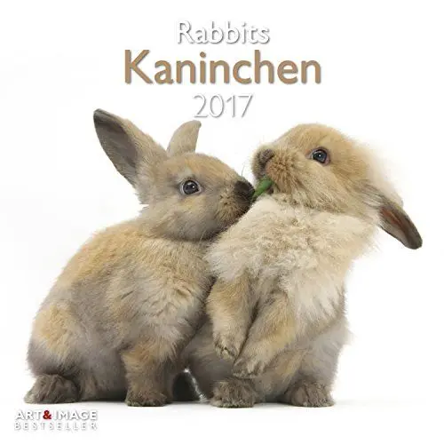 Produktbild: Kaninchen 2017: A&I Tierkalender