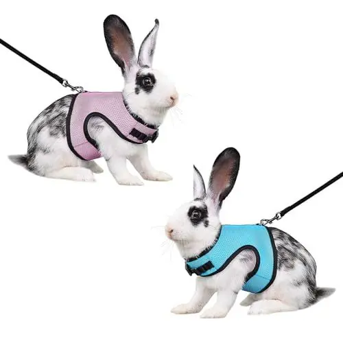 Produktbild: Kaninchen Geschirr Mit Leine - 2 Stück Verstellbares Weiches Mesh Hasenleine für Kleintiere, Hasen, Hamster, Katzen Outdoor