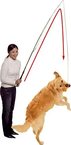 Produktbild: Karlie Dog Dangler Trainingsangel L: 49 - 165 cm