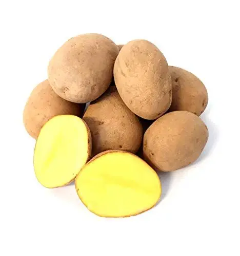 Produktbild: Kartoffel Afra mehlige Kartoffeln 1-25 Kg deutsche Speisekartoffel perfekt für Kartoffelsuppe, Püree, Gnocchi, Knödel, Kroketten, Ofenkartoffeln Aufläufe Salzkartoffeln auch zum Grillen geeignet (10)