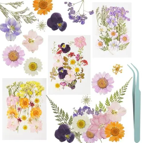 Produktbild: KATIMI 66 Stück Trockenblumen zum Basteln, DIY Getrocknete Gepresste Blumen Deko, Natürliche Getrocknete Blumen Gepresst Blätter mit Pinzette, Gemischte Getrocknete Blüten für Nagel Scrapbooking