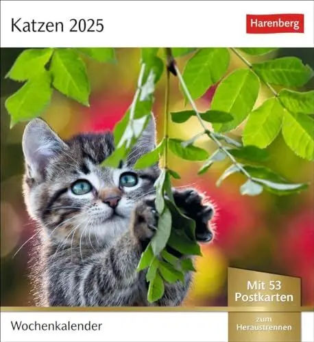 Produktbild: Katzen Postkartenkalender 2025 - Wochenkalender mit 53 Postkarten: Jede Woche ein süßes Kätzchen im Postkarten-Fotokalender. Tischkalender für ... Sammeln und Verschicken. Auch zum Aufhängen