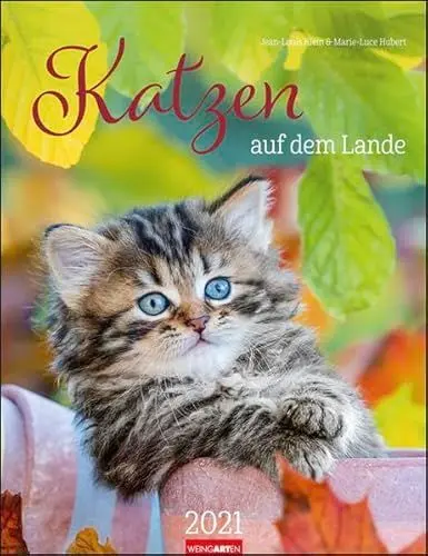 Produktbild: Katzen auf dem Lande Kalender 2021